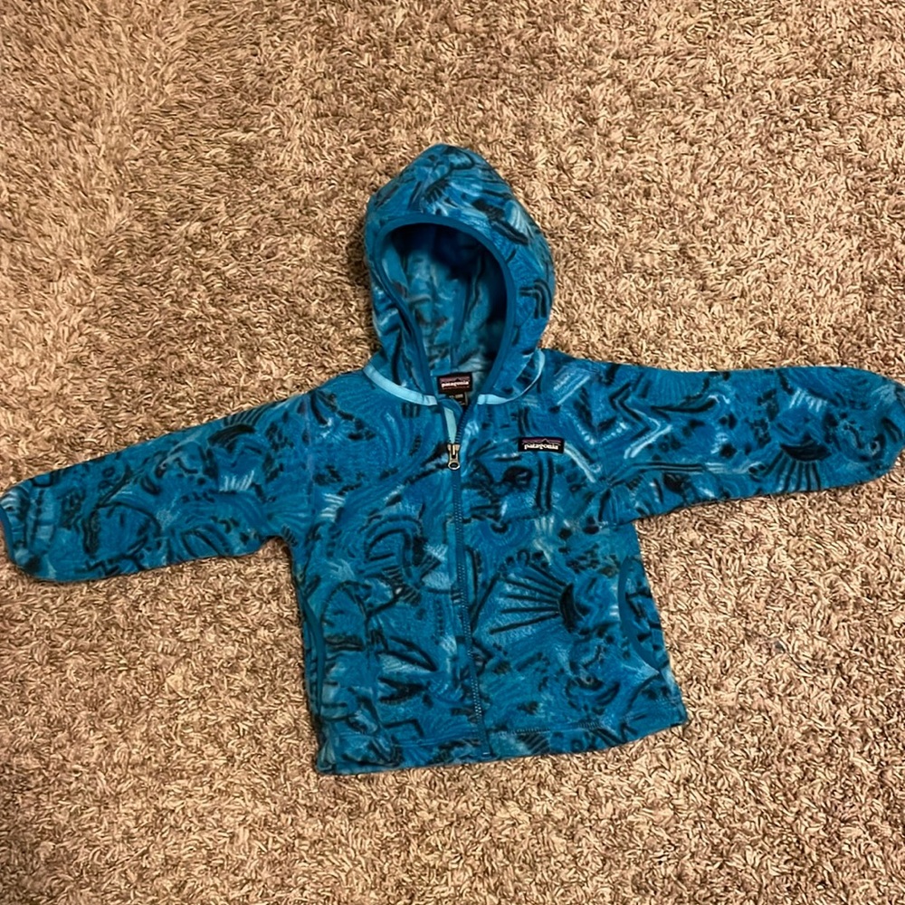 Patagonia Synchilla Zip Up Hooded Jacket